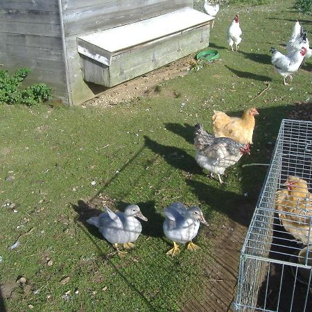 South Moor Farm Bed & Breakfast Scarborough Luaran gambar