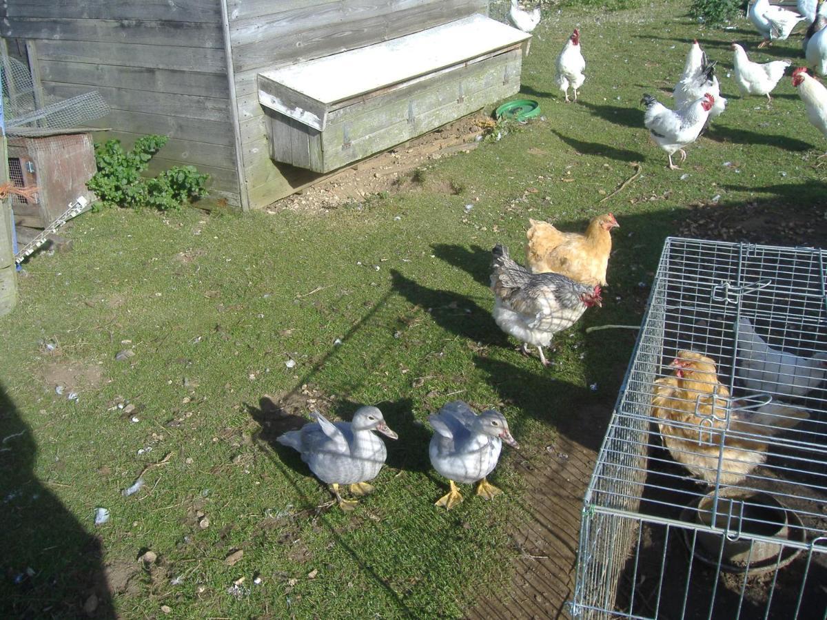 South Moor Farm Bed & Breakfast Scarborough Luaran gambar